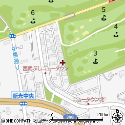 埼玉県入間市新光306-641周辺の地図