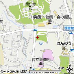 埼玉県飯能市飯能225周辺の地図