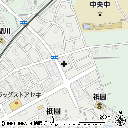 埼玉県狭山市祇園45周辺の地図