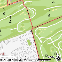 埼玉県入間市新光416-104周辺の地図