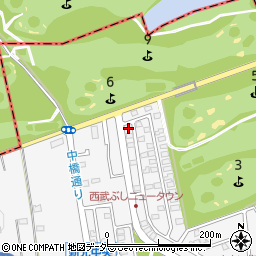 埼玉県入間市新光306-667周辺の地図