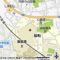 埼玉県飯能市原町周辺の地図