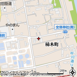 埼玉県草加市柿木町236周辺の地図