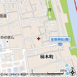埼玉県草加市柿木町308周辺の地図