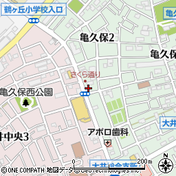 さわやかピュア大井亀久保店周辺の地図