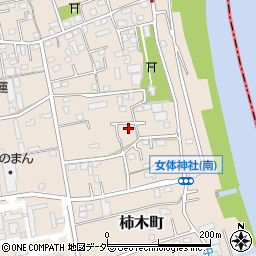 埼玉県草加市柿木町339-7周辺の地図