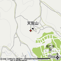 埼玉県飯能市飯能1125-1周辺の地図