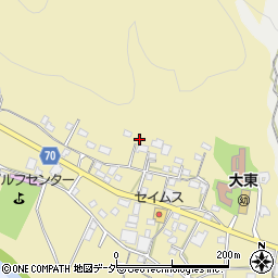 埼玉県飯能市永田周辺の地図