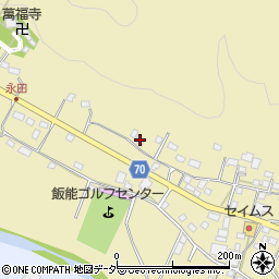 埼玉県飯能市永田480周辺の地図