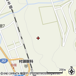 岐阜県下呂市萩原町花池周辺の地図
