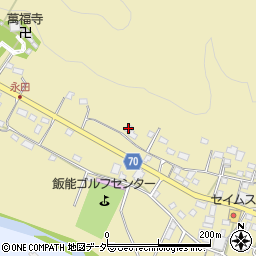 埼玉県飯能市永田480-2周辺の地図