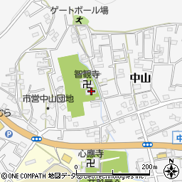 智観寺周辺の地図
