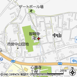 〒357-0006 埼玉県飯能市中山の地図