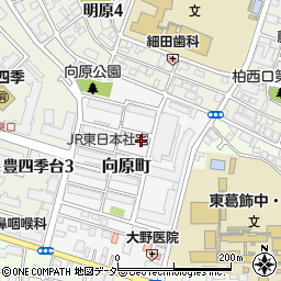 千葉県柏市向原町周辺の地図