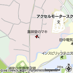 埼玉県さいたま市桜区塚本675周辺の地図
