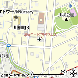 埼玉県越谷市川柳町3丁目50周辺の地図