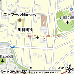 埼玉県越谷市川柳町3丁目96周辺の地図