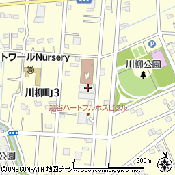 埼玉県越谷市川柳町3丁目56-1周辺の地図