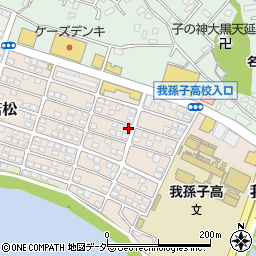 千葉県我孫子市若松165-6周辺の地図