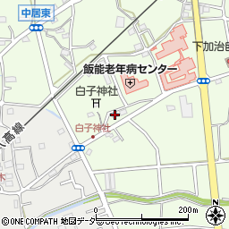 埼玉県飯能市下加治171-4周辺の地図