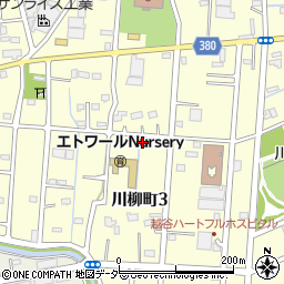 埼玉県越谷市川柳町3丁目136周辺の地図