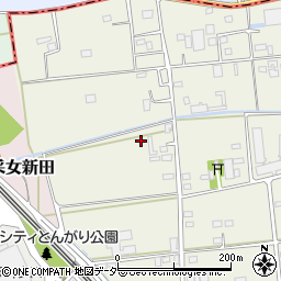 埼玉県三郷市半田55周辺の地図