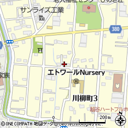 埼玉県越谷市川柳町3丁目162周辺の地図