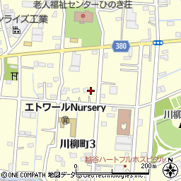 埼玉県越谷市川柳町3丁目142周辺の地図