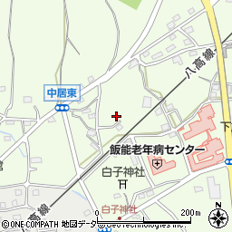 埼玉県飯能市下加治101周辺の地図