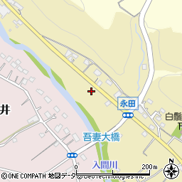 埼玉県飯能市永田315周辺の地図