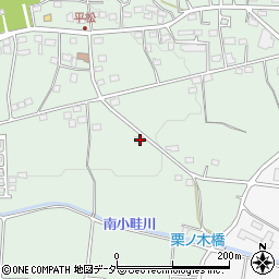 埼玉県飯能市平松174周辺の地図