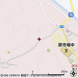 埼玉県飯能市原市場1076-1周辺の地図