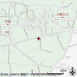 埼玉県飯能市平松203-2周辺の地図