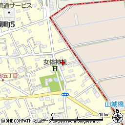 埼玉県越谷市川柳町5丁目315周辺の地図