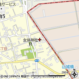 埼玉県越谷市川柳町5丁目313周辺の地図