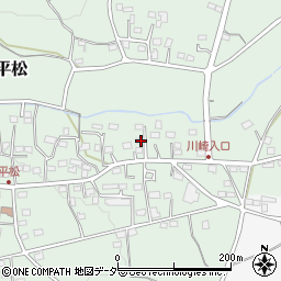 埼玉県飯能市平松306周辺の地図