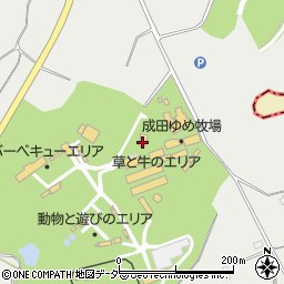 千葉県成田市名木731周辺の地図