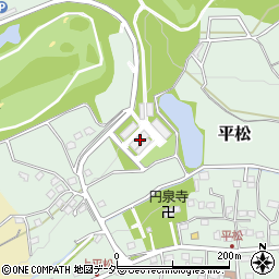 埼玉県飯能市平松403周辺の地図