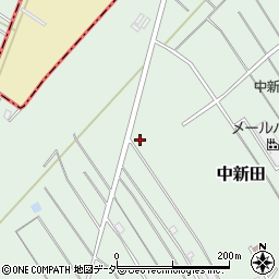 埼玉県狭山市中新田166周辺の地図
