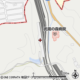 埼玉県飯能市飯能928-12周辺の地図