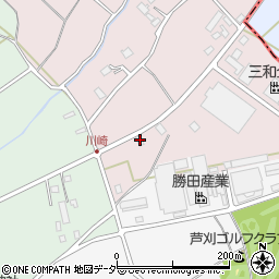 埼玉県飯能市下川崎186周辺の地図