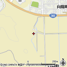 福井県越前市白崎町5周辺の地図