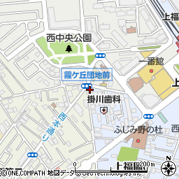 コインランドリードルフィン上福岡西口店周辺の地図