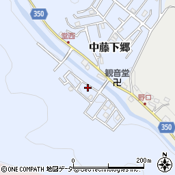 埼玉県飯能市中藤下郷705周辺の地図