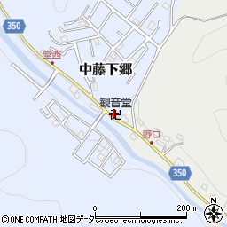 埼玉県飯能市中藤下郷3周辺の地図