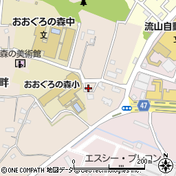 千葉県流山市大畔540周辺の地図