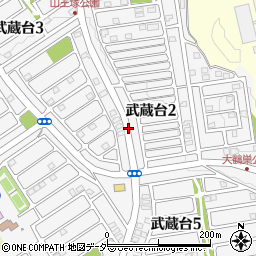 埼玉県日高市武蔵台2丁目12周辺の地図