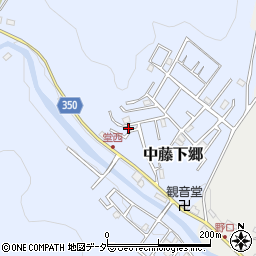 埼玉県飯能市中藤下郷10-192周辺の地図