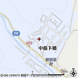 埼玉県飯能市中藤下郷10周辺の地図