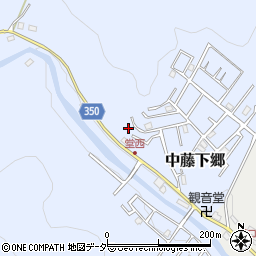 埼玉県飯能市中藤下郷10-207周辺の地図
